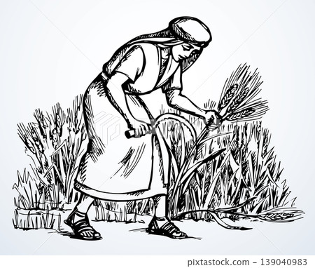 Vector drawing. Woman reaps a wheat Vector drawing. Woman reaps a wheat 139040983