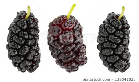 Set of fresh mulberries isolated on white background. Set of fresh mulberries isolated on white background. 139041025