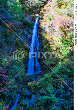 [Japan's Top 100 Waterfalls] Late Autumn Scenery of Hara Fudo Falls, Part 10, Shiso City, Hyogo Prefecture 139041077