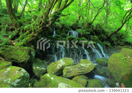 風景與瀑布 風景與瀑布 139041323