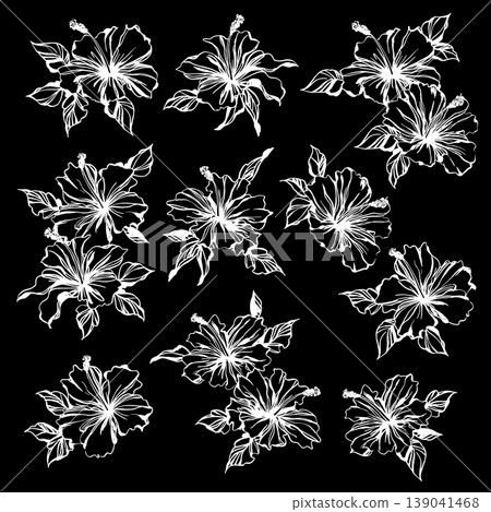 Beautiful hibiscus illustration collection, Beautiful hibiscus illustration collection, 139041468