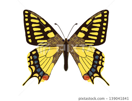 Swallowtail butterfly illustration, butterfly image, clipart, PNG. 139041841