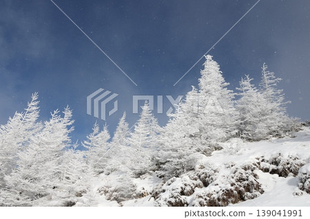 這是一個冬季高地度假勝地,擁有令人嘆為觀止的美景,任何人都可以輕鬆前往。 這是一個冬季高地度假勝地,擁有令人嘆為觀止的美景,任何人都可以輕鬆前往。 139041991