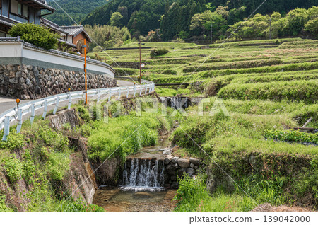 Asuka Village, Kamura District, uphill road, Nara Prefecture Asuka Village, Kamura District, uphill road, Nara Prefecture 139042000