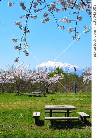 春天,櫻花,磐城川河濱公園 春天,櫻花,磐城川河濱公園 139042005