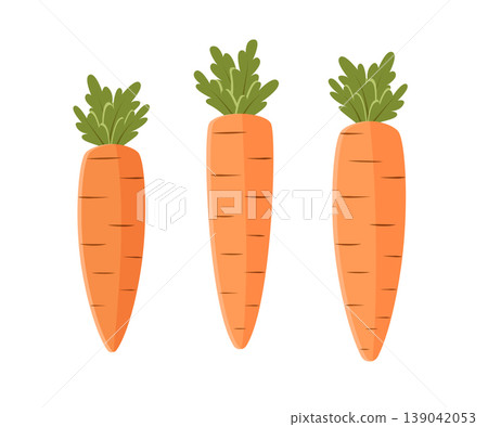 Set of fresh carrots icon on a white background. Harvest vegetable root vector illustration. 139042053