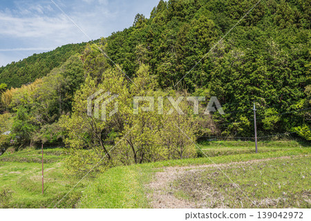 Hosokawa Rice Terraces, a scenic spot in Asuka Village, Nara Prefecture 139042972