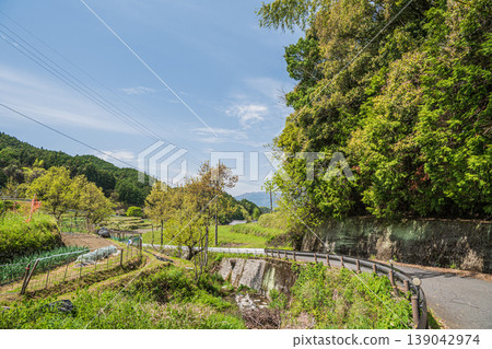 奈良縣飛鳥村的細川梯田，是個風景優美的景點。 139042974