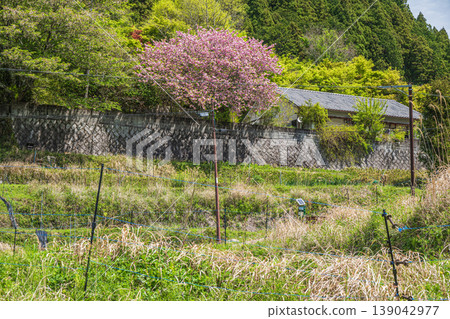 Hosokawa area, a scenic spot in Asuka Village, Nara Prefecture Hosokawa area, a scenic spot in Asuka Village, Nara Prefecture 139042977
