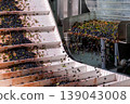 Fresh blackcurrants on industrial conveyor belt. 139043008