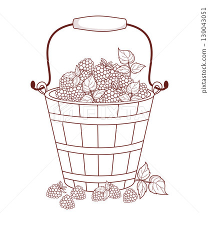 Outline Wooden Vintage Bucket With Raspberry. Harvesting. Rustic Fresh Summer Harvest. Eco Friendly Organic Fresh Berry. Line drawing, coloring page. Vector Illustration. Lifestyle, Garden Foraging. Outline Wooden Vintage Bucket With Raspberry. Harvesting. Rustic Fresh Summer Harvest. Eco Friendly Organic Fresh Berry. Line drawing, coloring page. Vector Illustration. Lifestyle, Garden Foraging. 139043051