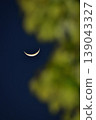 crescent moon 139043327