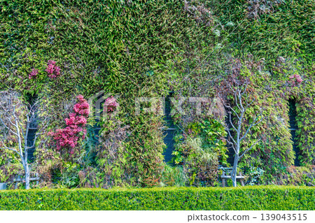 Buildings with green walls Buildings with green walls 139043515