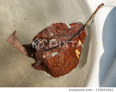 Rusty orange leaf floating in ultra-clear water with sunlight caustics. Macro of hyper-transparent liquid with optical refraction and copper textures in a serene, crystalline composition. Rusty orange leaf floating in ultra-clear water with sunlight caustics. Macro of hyper-transparent liquid with optical refraction and copper textures in a serene, crystalline composition. 139043862