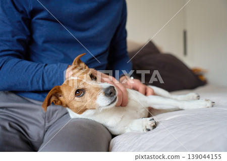Man stroking small dog at home Man stroking small dog at home 139044155