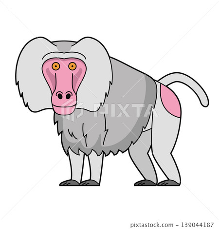 Cute cartoon vector illustration of a baboon Hamadryas or Sacred Bapio isolated on white background Cute cartoon vector illustration of a baboon Hamadryas or Sacred Bapio isolated on white background 139044187