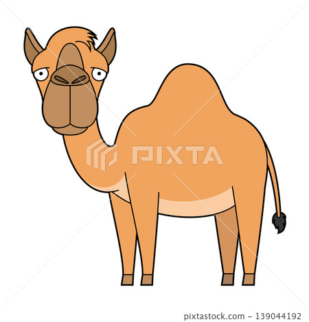 Cute cartoon vector illustration of a dromedary or Arabian camel isolated on white background Cute cartoon vector illustration of a dromedary or Arabian camel isolated on white background 139044192