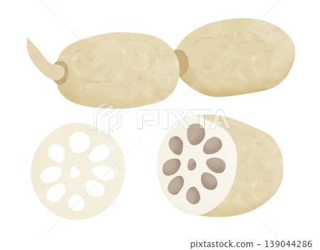 Lotus root 139044286