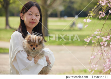 A middle school girl enjoying cherry blossom viewing in a park full of blooming cherry trees in spring, accompanied by her adorable Pomeranian puppy. A middle school girl enjoying cherry blossom viewing in a park full of blooming cherry trees in spring, accompanied by her adorable Pomeranian puppy. 139044312