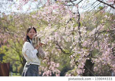 春天,一位國中女生帶著她可愛的博美犬,在櫻花盛開的公園裡欣賞櫻花。 春天,一位國中女生帶著她可愛的博美犬,在櫻花盛開的公園裡欣賞櫻花。 139044333