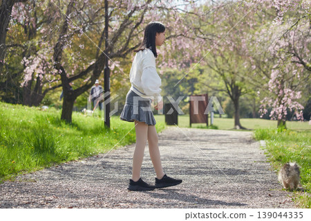 A middle school girl enjoying cherry blossom viewing in a park full of blooming cherry trees in spring, accompanied by her adorable Pomeranian puppy. A middle school girl enjoying cherry blossom viewing in a park full of blooming cherry trees in spring, accompanied by her adorable Pomeranian puppy. 139044335