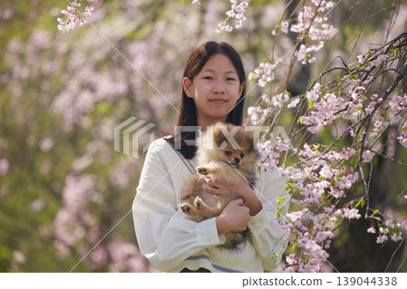 春天,一位國中女生帶著她可愛的博美犬,在櫻花盛開的公園裡欣賞櫻花。 春天,一位國中女生帶著她可愛的博美犬,在櫻花盛開的公園裡欣賞櫻花。 139044338