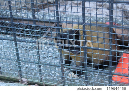 Metal fence mesh made of rods for the protection and protection of animals humans Metal fence mesh made of rods for the protection and protection of animals humans 139044466