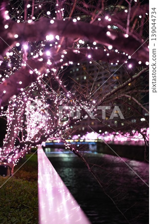 目黑川:沐浴在粉紅色燈光中的橋樑及其夜間倒影 目黑川:沐浴在粉紅色燈光中的橋樑及其夜間倒影 139044734