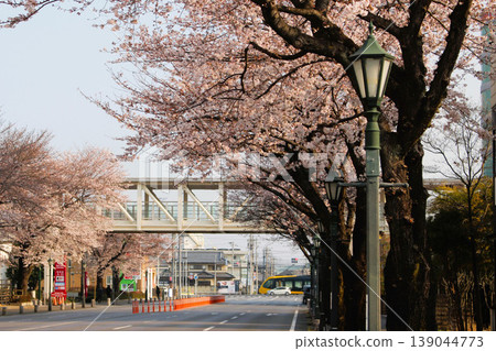 Utsunomiya LRT Utsunomiya LRT 139044773