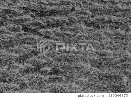 Tree bark abstract natural embossed wood texture natural gray rough background Tree bark abstract natural embossed wood texture natural gray rough background 139044875