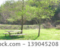 綠樹成蔭的公園 139045208