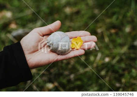 Cute snail on a woman's hand. Close-up. Cute snail on a woman's hand. Close-up. 139045746