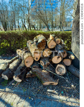 Trees cut into logs are stacked neatly by a walking path in an urban area with buildings in the background on a sunny day Trees cut into logs are stacked neatly by a walking path in an urban area with buildings in the background on a sunny day 139045816