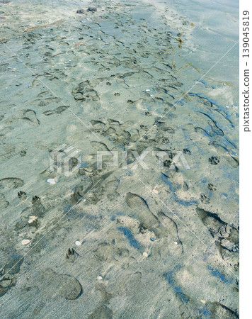Footprints on a sandy beach during low tide with small shells visible in the wet sand Footprints on a sandy beach during low tide with small shells visible in the wet sand 139045819