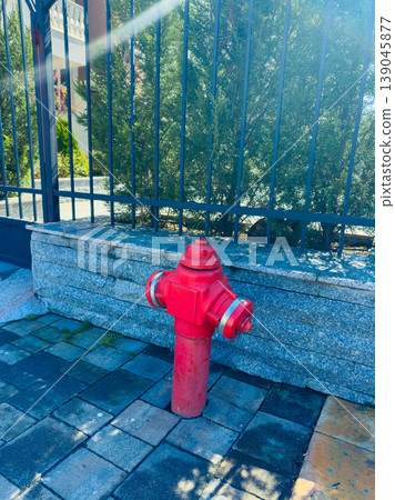 Bright red fire hydrant stands near a black gate on a sunny day with stone pavement and green bushes in the background Bright red fire hydrant stands near a black gate on a sunny day with stone pavement and green bushes in the background 139045877