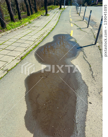 Reflection of trees on a puddle near the sidewalk in a sunny park in springtime Reflection of trees on a puddle near the sidewalk in a sunny park in springtime 139045895