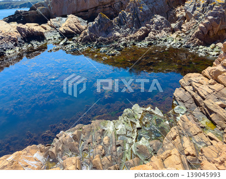 Rocky coastal area with clear water and seaweed at low tide during daytime near the shore Rocky coastal area with clear water and seaweed at low tide during daytime near the shore 139045993