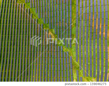 Large solar farm with rows of solar panels in a green field taken from above during midday light 139046273