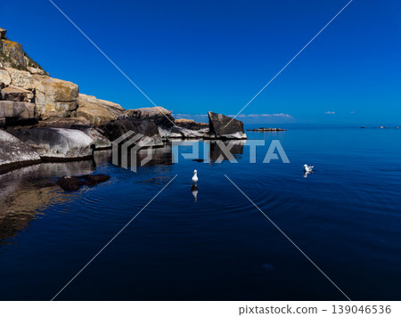 Seagulls swim and stand on rocks in clear water under a blue sky at the coast during midday Seagulls swim and stand on rocks in clear water under a blue sky at the coast during midday 139046536