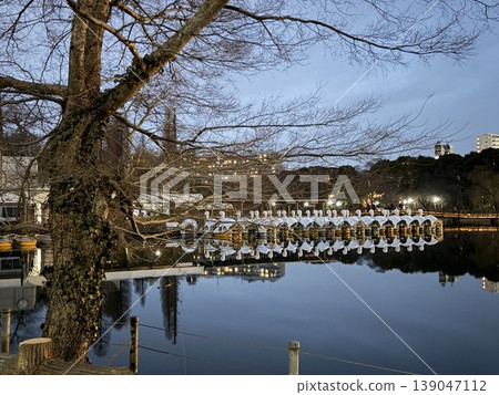 Night view of Inokashira Park: Swan boats reflected on the water and the city lights. Night view of Inokashira Park: Swan boats reflected on the water and the city lights. 139047112