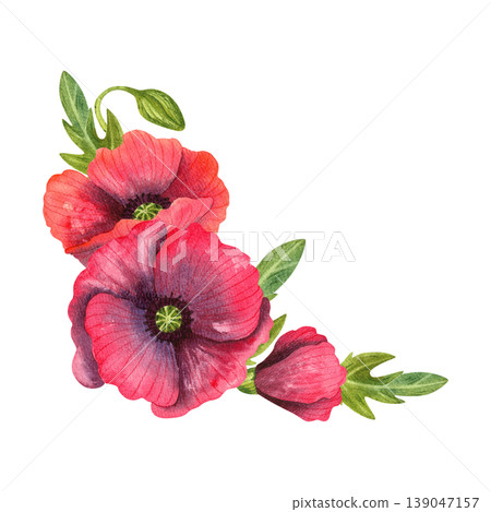 Red poppies, isolated watercolor corner composition. Bright fresh flowers with green leaves, hand drawn. Colorful plants for floral cards, invitations, prints. Red poppies, isolated watercolor corner composition. Bright fresh flowers with green leaves, hand drawn. Colorful plants for floral cards, invitations, prints. 139047157