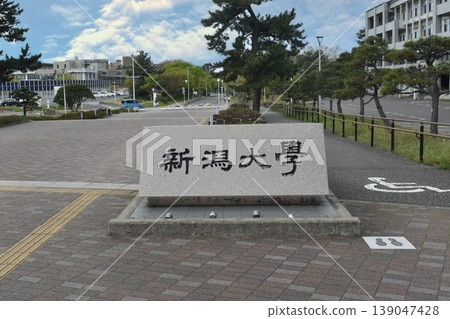 Niigata University Niigata University 139047428