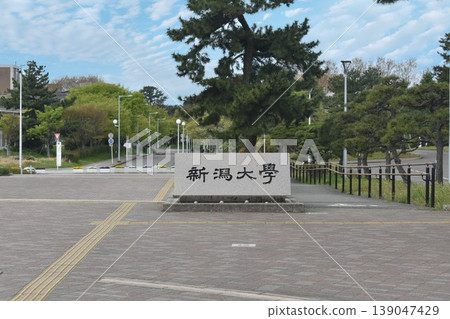 Niigata University Niigata University 139047429