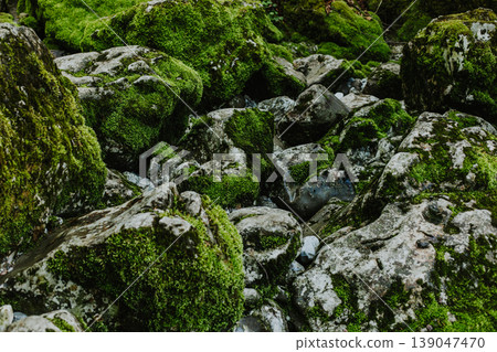 Amazing stones with green moss in National Park Prokletije, Montenegro. Amazing stones with green moss in National Park Prokletije, Montenegro. 139047470