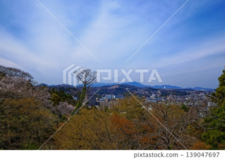 從仙台城遺址眺望仙台大觀音。 139047697