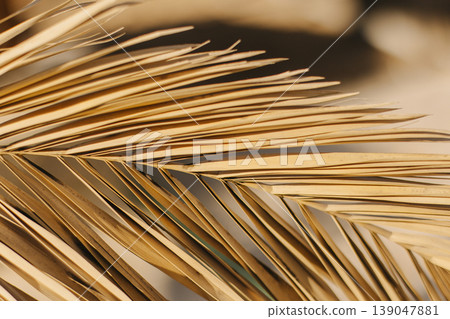 Beautiful palm leaf in a sunlight. Summer background. 139047881