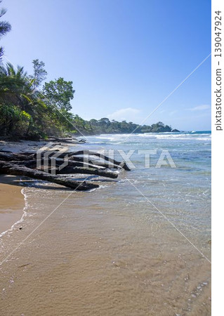 Tropical shoreline with driftwood and waves Panama Tropical shoreline with driftwood and waves Panama 139047924