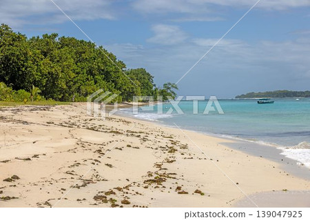 Tropical beach with person walking in Bocas del Toro Panama Tropical beach with person walking in Bocas del Toro Panama 139047925
