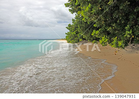 Tropical beach with turquoise water Panama 139047931