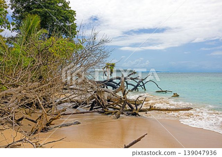 Wide tropical beach with driftwood Wide tropical beach with driftwood 139047936
